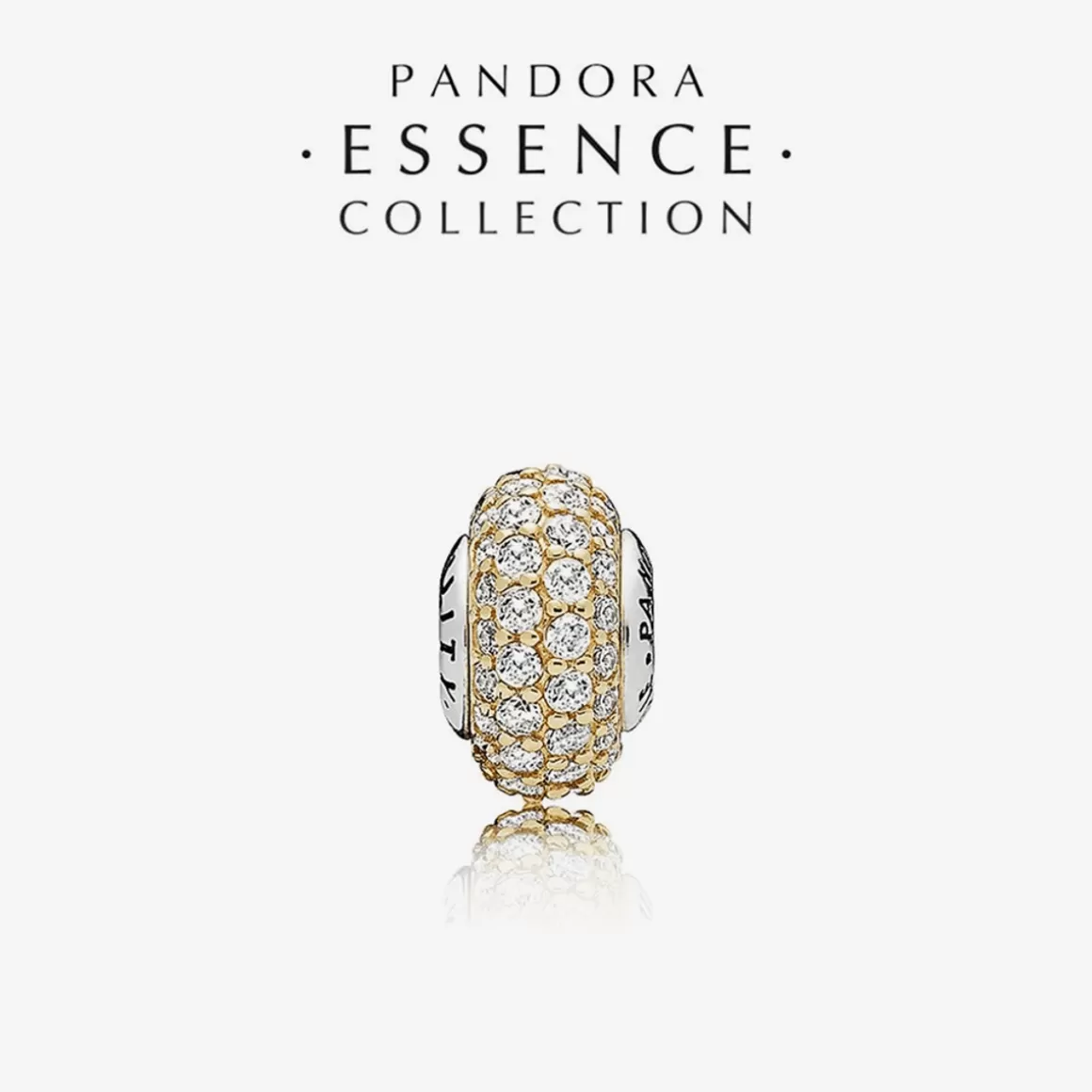 Pandora Charms Dois Tons-Charm Essence Stability (Estabilidade)