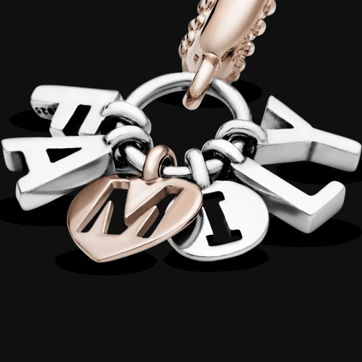 Pandora Charms Pendentes Dois Tons-Charm Pendente Minha Familia